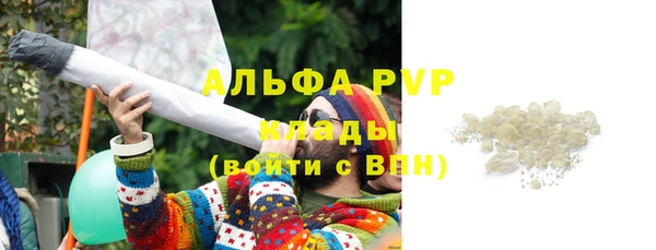кокс Касимов