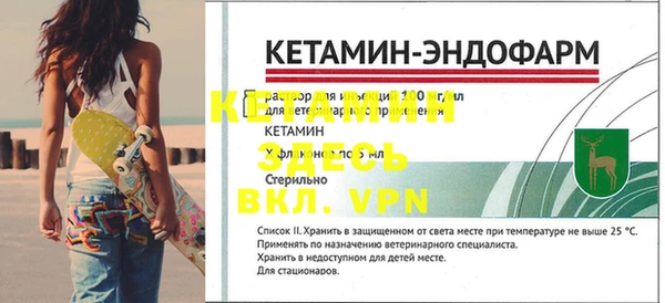 кокс Касимов
